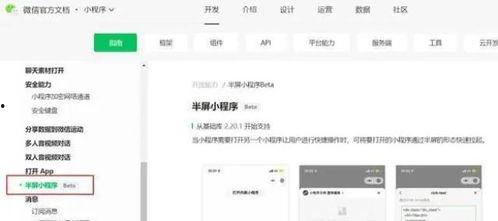 最新看点爆料小程序下载,揭秘小程序下载背后的秘密与趋势