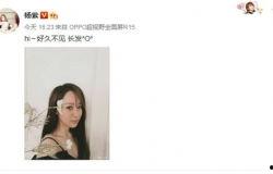 杨紫八卦爆料最新消息,揭秘明星背后的故事